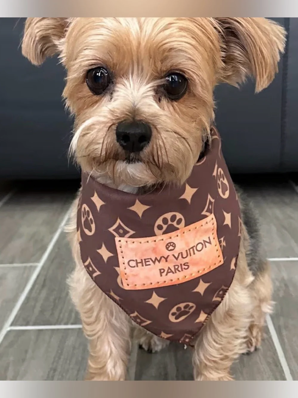 Chewy Vuiton Dog Bandana Designer Fashion Scarf Kerchief in Small & Large NWT